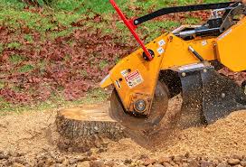 Lawn Watering Services in Benson, UT